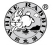 Anhui White Rabbit Power Co., Ltd