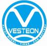 Shandong Vesteon Automotive Parts Co., Ltd.