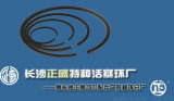 Changsha Zhengsheng Special Piston Ring Co., Ltd.