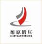 Jiangyin Liaoyuan Forging and Stamping Co., Ltd.