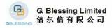 G. Blessing Limited