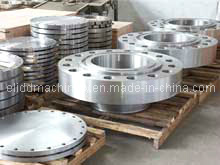 Stainless Steel Forging Flange/Pipe Fittings Forged (ELIDD-CDDG)