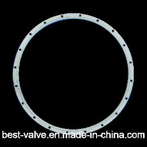 Stainless Steel Filter Flange