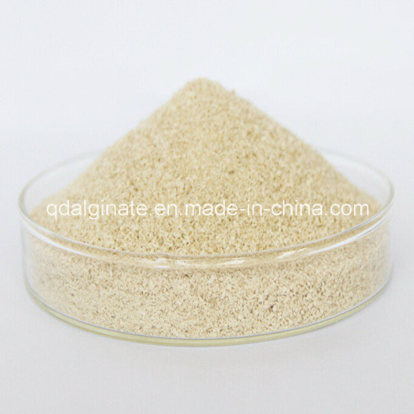 Industry Grade Sodium Alginate 600 Cps