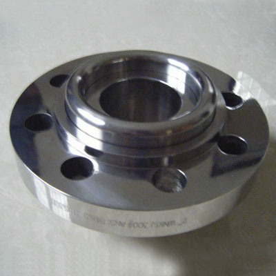 Ss304 Stainless Steel Flanges Made in China