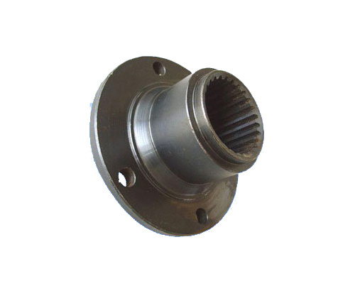 Precision Stainless Steel Flange with Hot Forging (DR119)