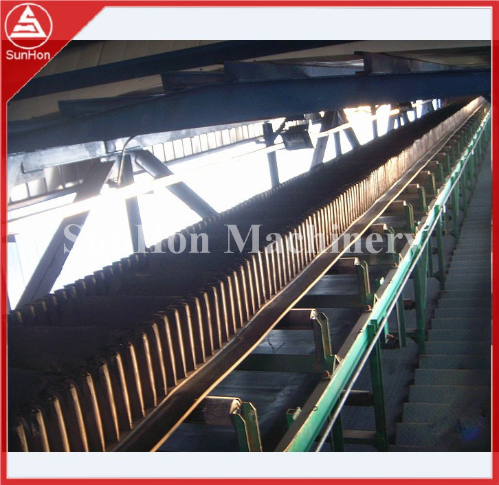 Belt Conveyor in Power Station with Promotion Price