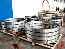 Stainless Steel Flange/Pipe Fittings (ELIDD-SDDC)