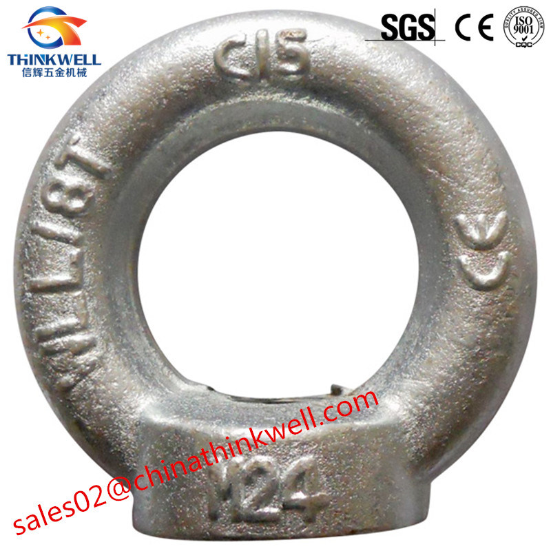 Factory Price Forged Stainless Steel DIN582 Eye Nut