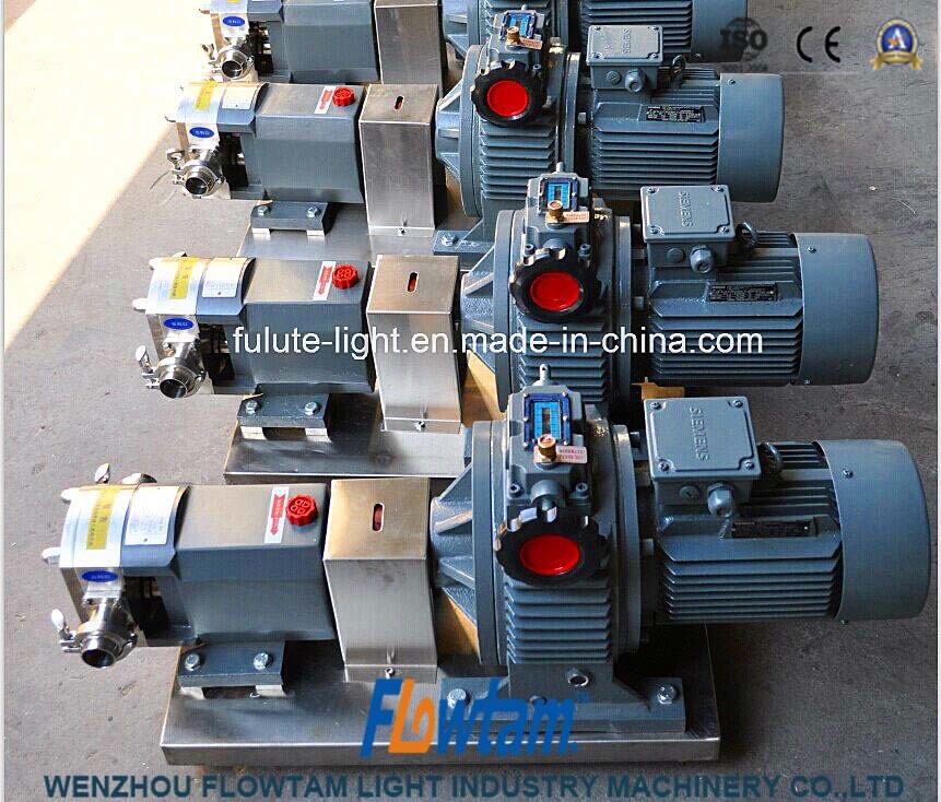 High Standard 304 and 316 Stainless Steel Sanitary Pump for Food
