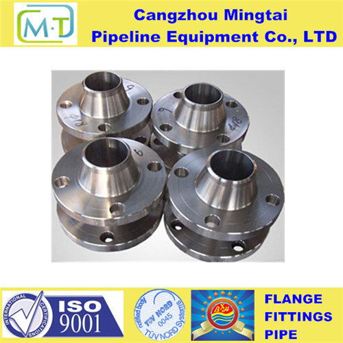 Loose Flanges Stainless Steel Flange