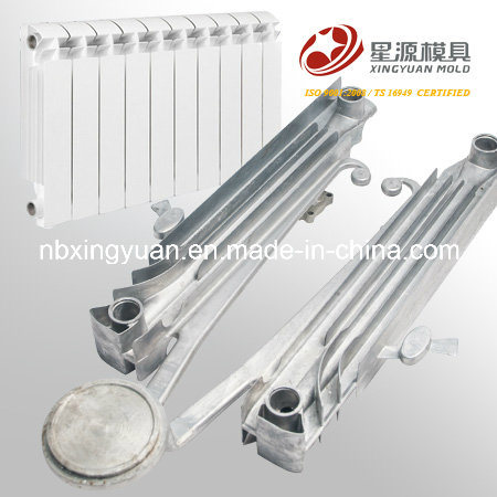 China Top One Quality Two Cavity Aluminum Bimetal Radiator Mold