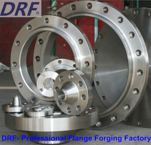 DIN Flange Factory, Stainless Steel, Forging