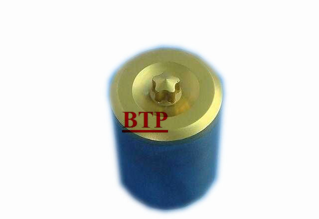 Titanium Coating Tungsten Carbide Punch for Bolts (BTP-D203)