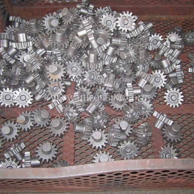 OEM Forged Rough Gear for Further Process