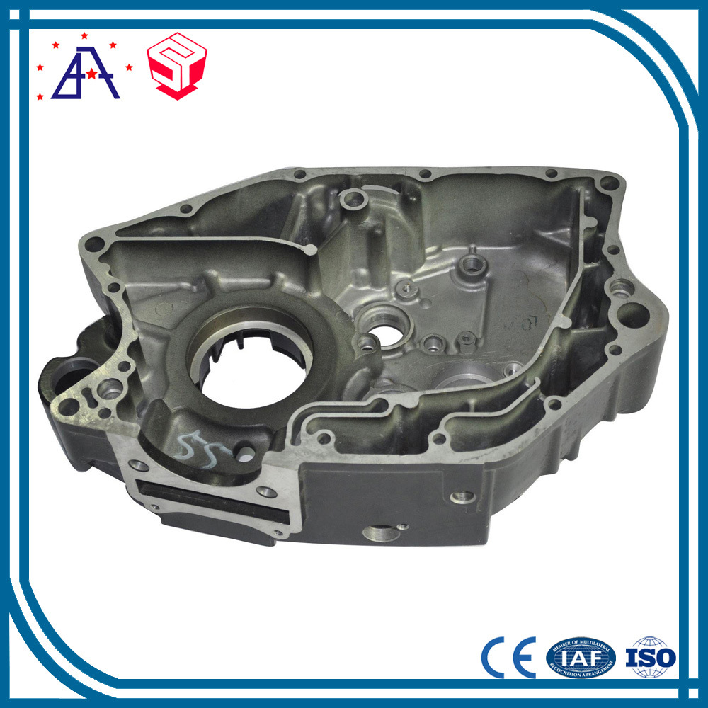 Professional Advanced OEM Customized Precision Casting (SY0184)