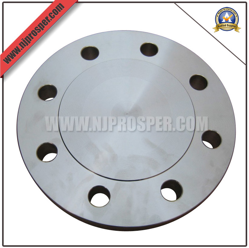 Stainless Steel Blind Flanges (YZF-F24)