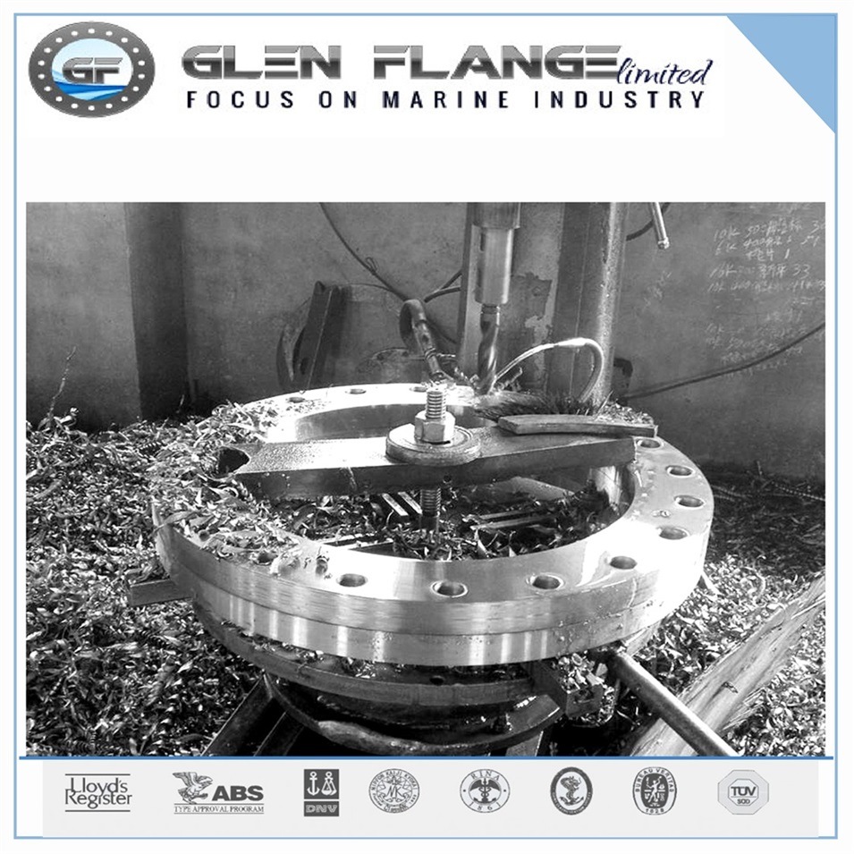 Steam Pipe Flanges