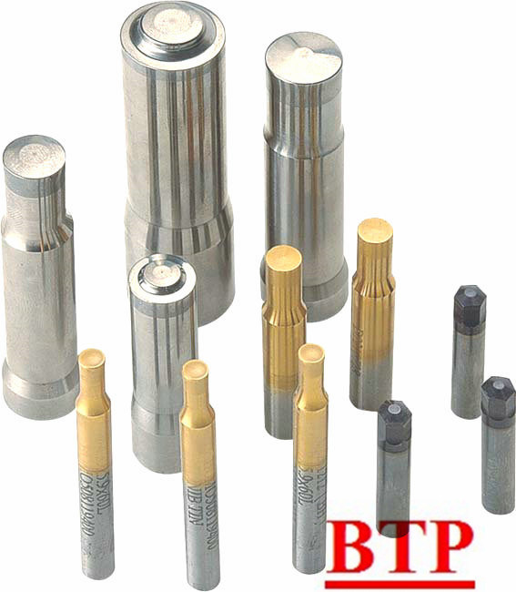 All Kinds of Carbide Cold Forging Die Punches (BTP-R179)