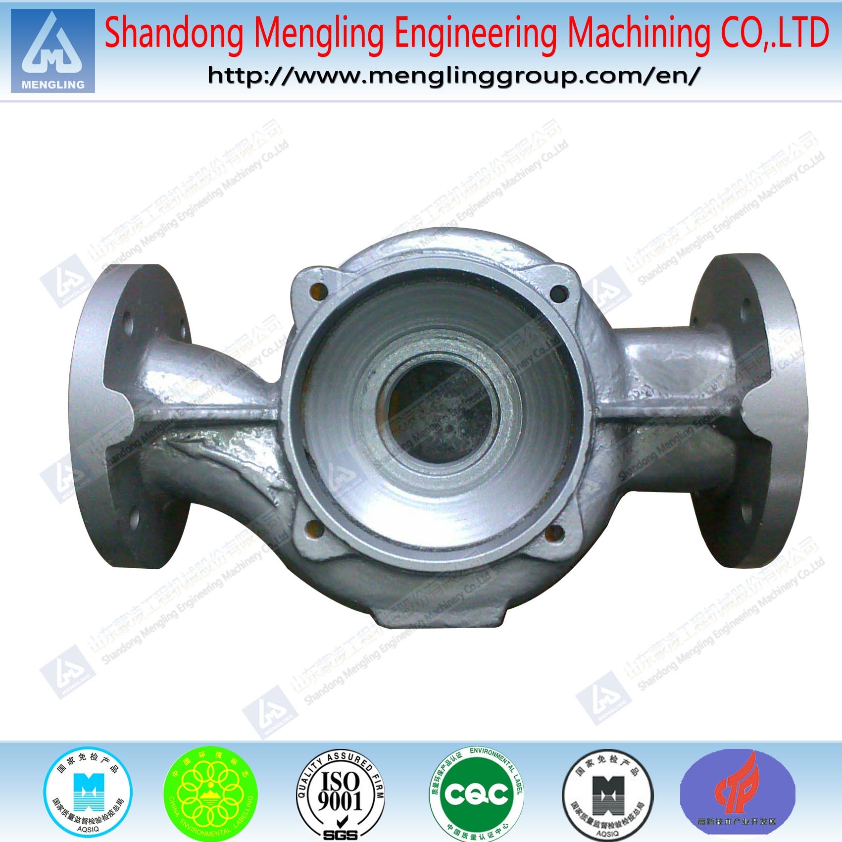 Gray Iron Casting Products Pumping Parts