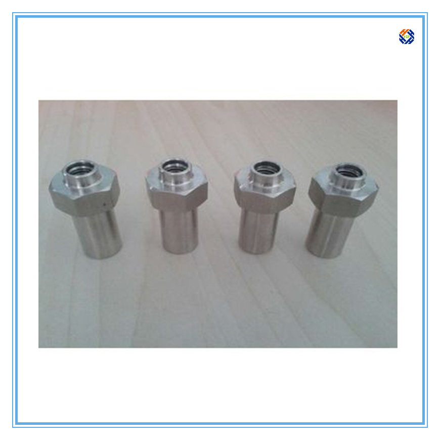 Stainless Steel Cold Forging Part with Precision Machining Bolts