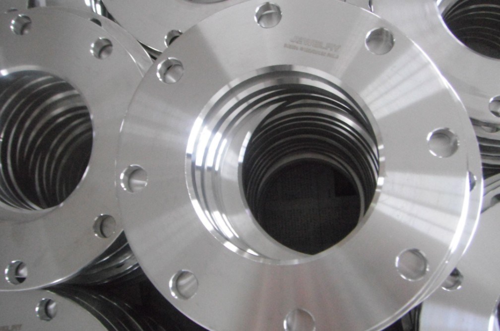 Sanitary Stainless Steel Flanges