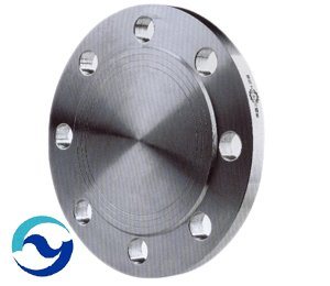 Carbon Steel Flange of Factory Price