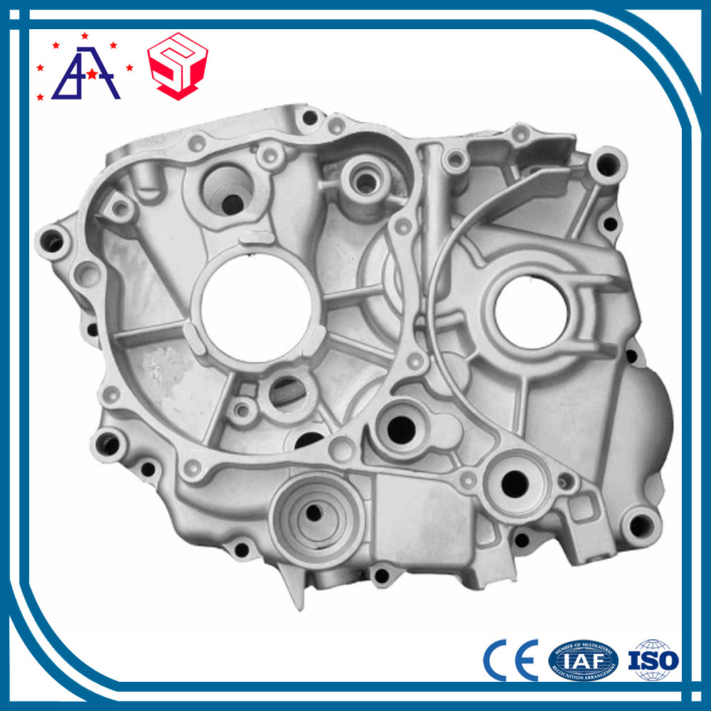 Precision Aluminum Die Casting with OEM Service (SY0088)