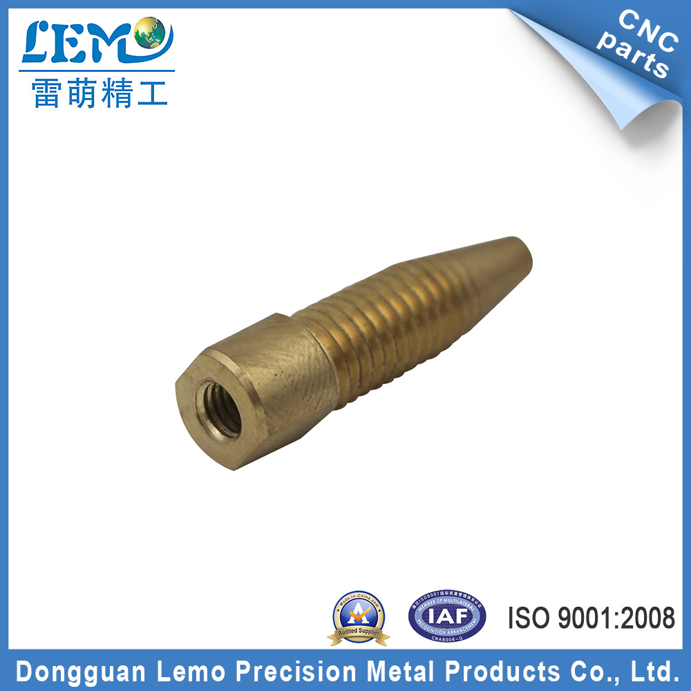ISO 9001 Customed Precision Spare Parts Made of Brass (LM-325X)