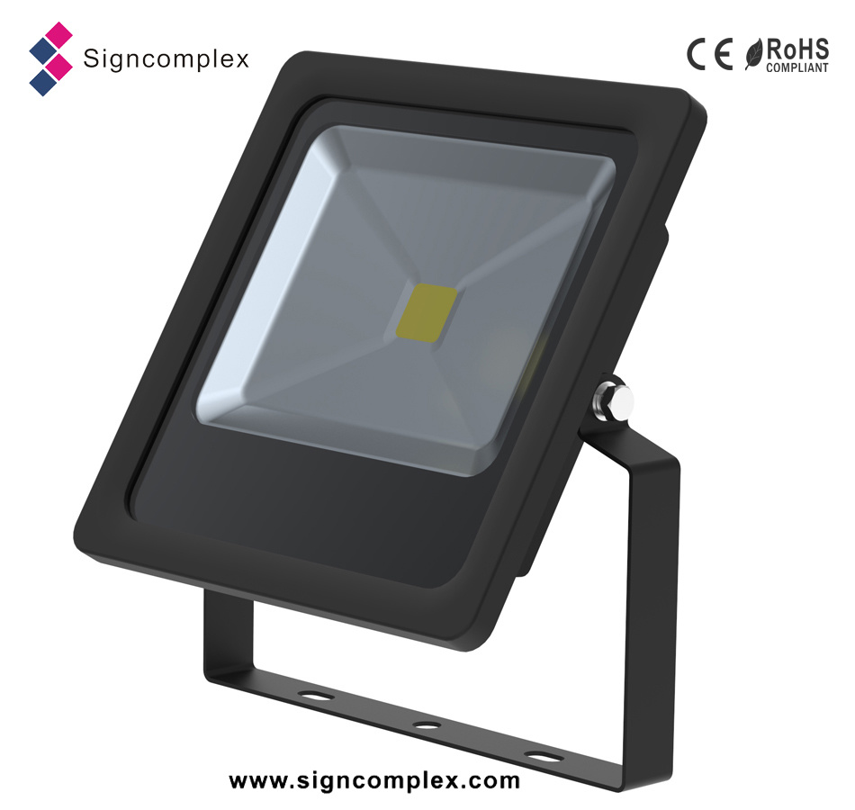 2016 Projector IP65 30W COB LED Outdoor Flood Light with CE RoHS