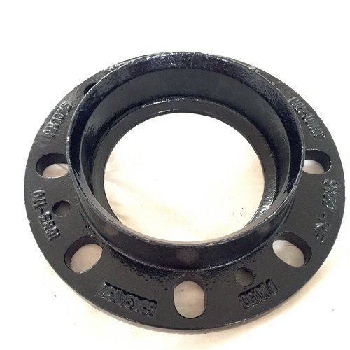 Ductile Iron Casting Flange for Water Pump (5466)