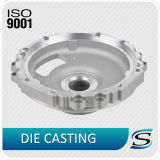 Aluminum Casting for Spare Product