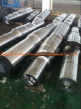 Alloy Steel, Stainless Steel, Carbon Steel Shaft