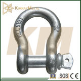 Us Type Drop Forged Shackle (Eg/ HDG)