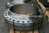 The Most Professional Flange Manufacturer