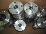 Plate Type Flat Welding Stainless Steel Flange