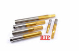 Best Price Carbide Cold Forging Tool Tungsten Rods (BTP-R222)