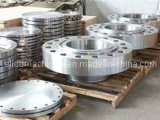 Stainless Steel Forging Flange/Pipe Fittings Forged (ELIDD-CDDG)