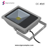 China Best Selling Outdoor COB IP65 LED Floodlight 30W