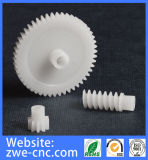 High Precision Plastic Worm Gears by CNC Machining