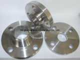 China Hot Forged Steel Forging Flange