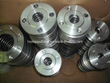 Stainless Steel Plate Flat Welding Flange