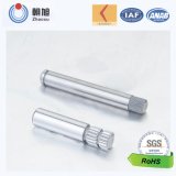 China Manufacturer Custom Made Galvanized Steel Shaft for Electrical Appliances