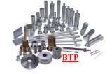 All Kinds of Carbide Cold Forging Punches (BTP-R198)