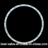 Stainless Steel Filter Flange