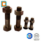 304 Stainess Steel Casting Bolt for Ship or Machine