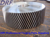 Large Gear Forgings Factory Suppy