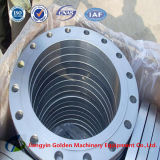 Stainless Steel Forged Blade Flange