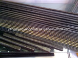 Stainless Steel/High Carbon Flexible Shaft