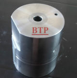 2014 New Product Tungsten Carbide Mould for Bolts (BTP-D075)
